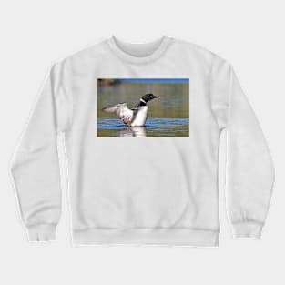 Common loon spray Crewneck Sweatshirt